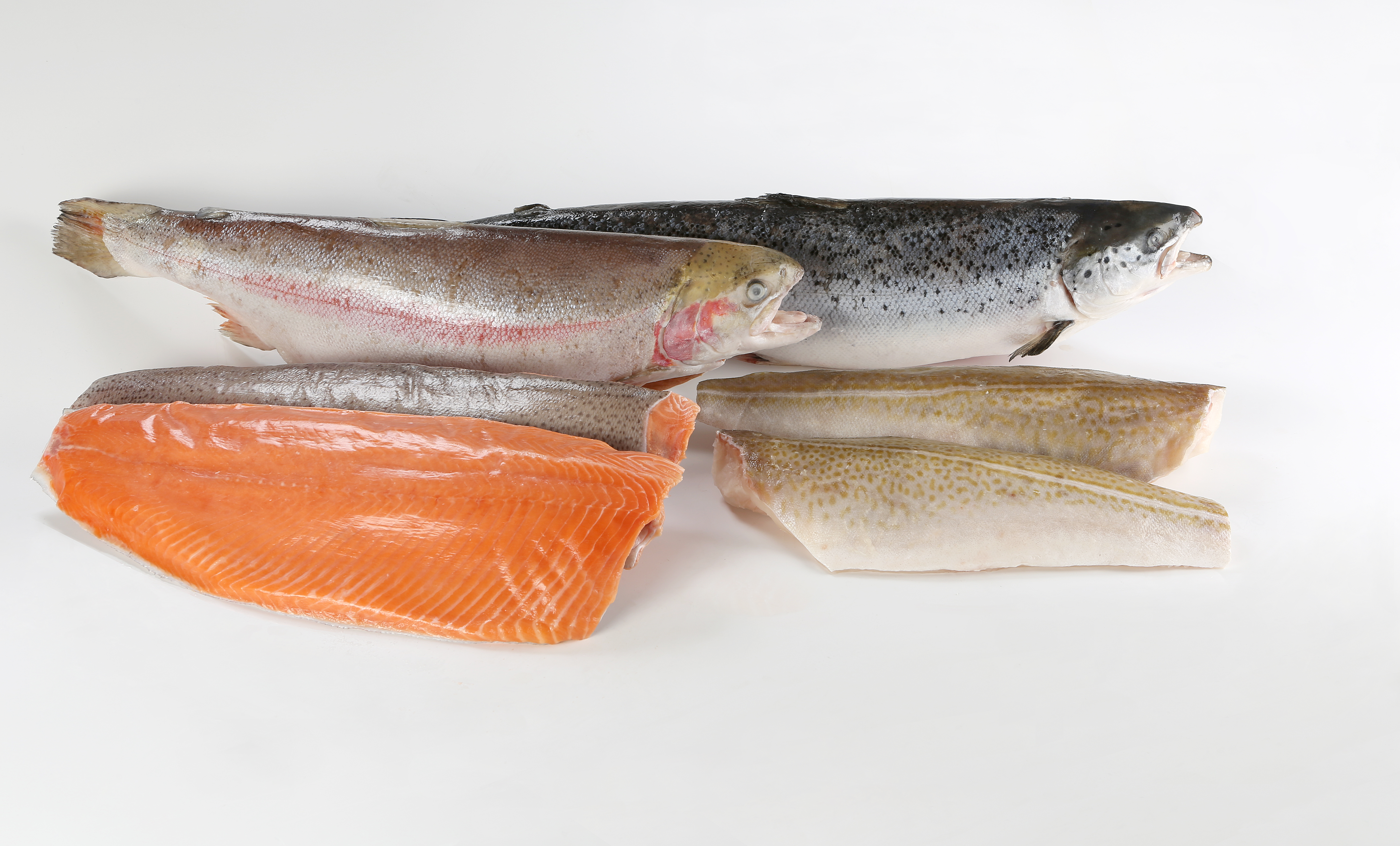 Frozen glazing fish IQF