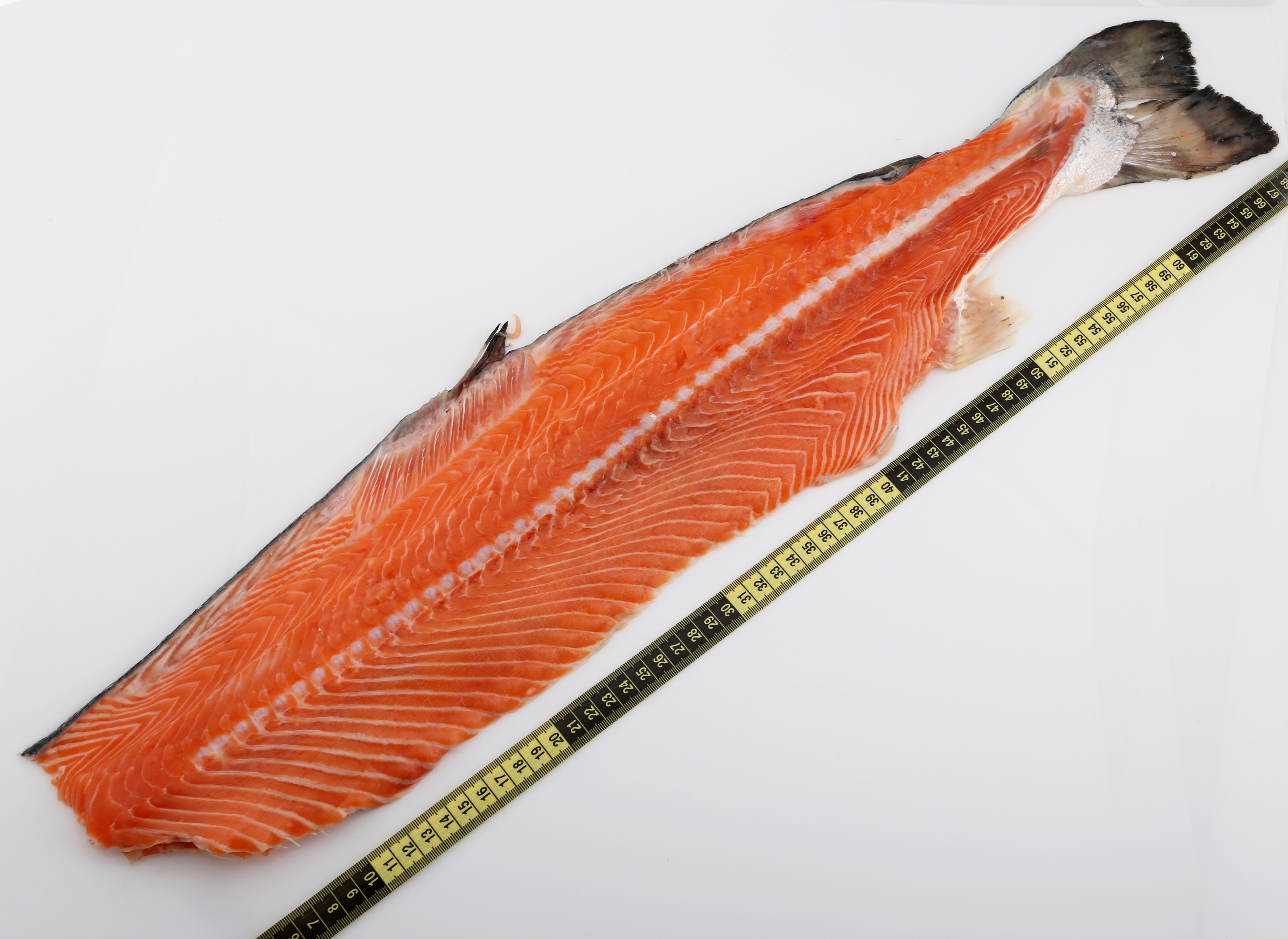 Salmon and Trout back bones Salmon and Trout back bones