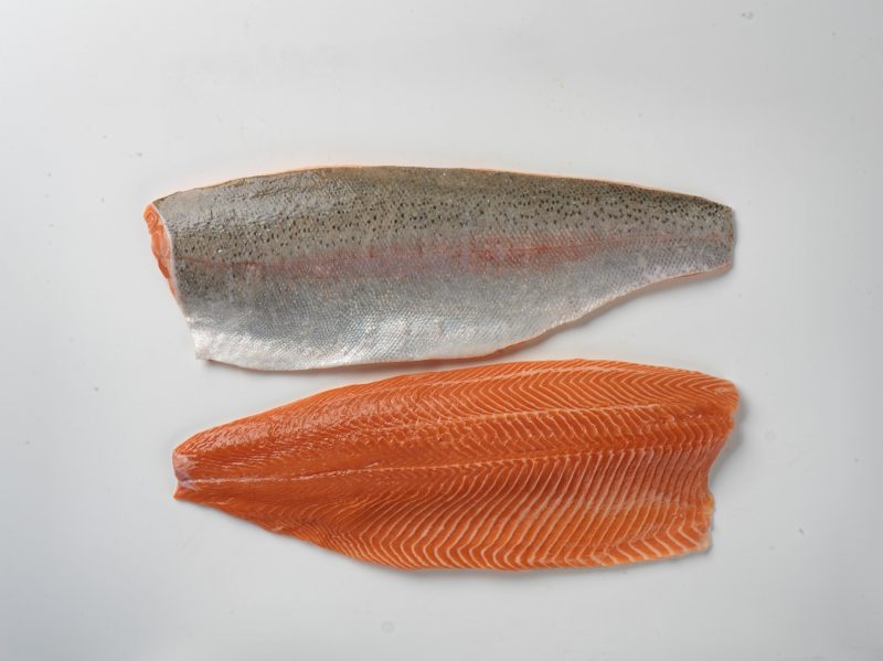 Salmon fillet with skin 