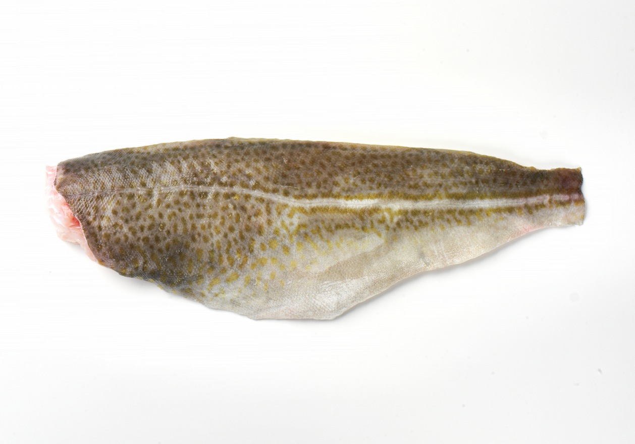 Cod fillet Cod fillet