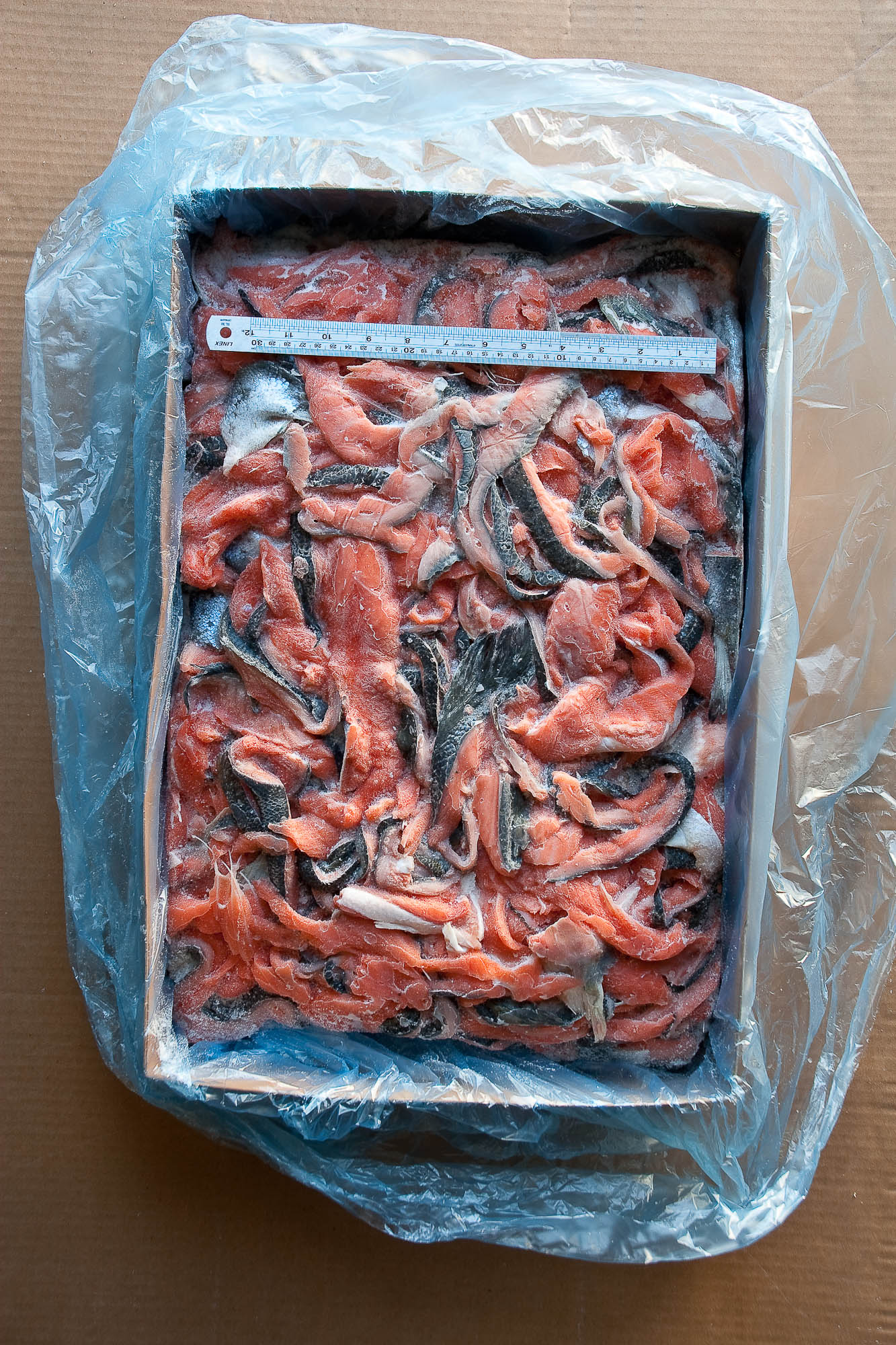 Salmon-bellies Salmon-Bellies