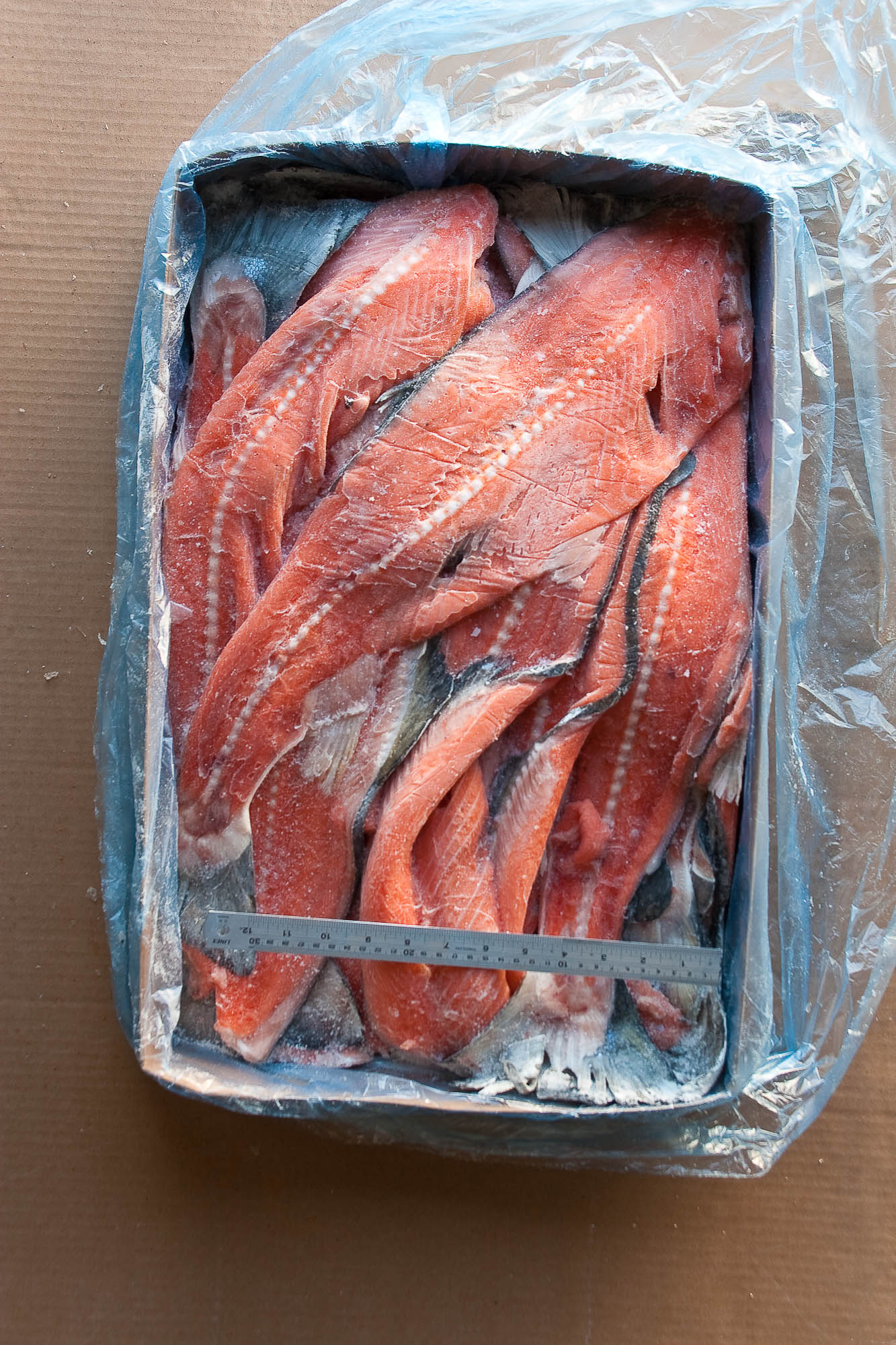 Salmon and Trout back bones Salmon and Trout back bones